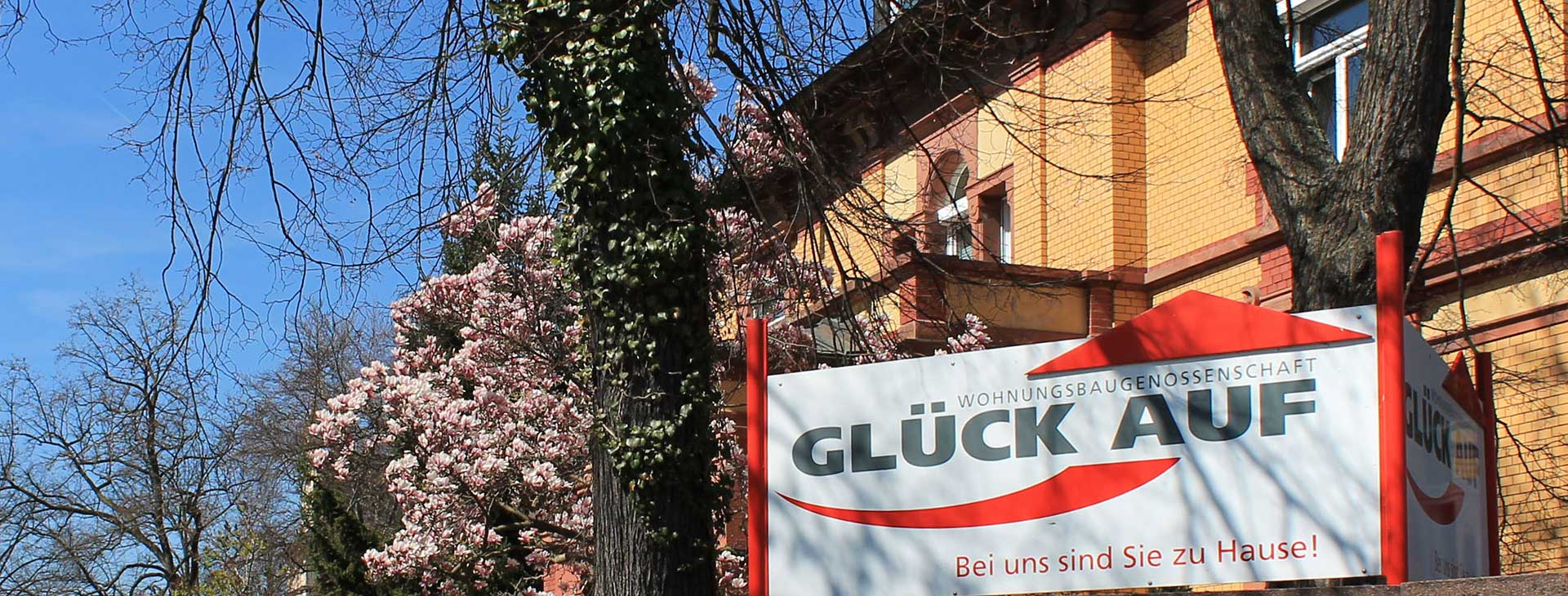 Weidencarre Gera: Startseite